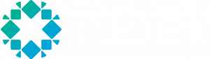 1024px-Rubrik_Logo-white.png