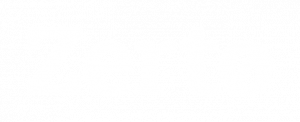Zerto_Logo_Digital_RGB_White (1)